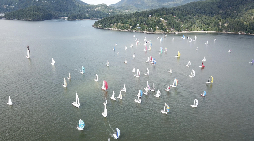 The Round Bowen Race with dozens of sailboats. 