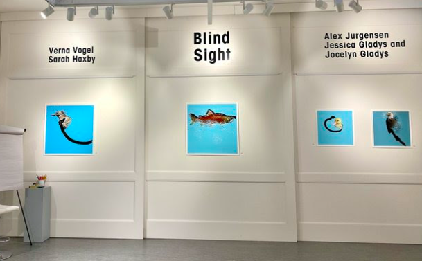 Screen Shot 2022 11 11 at 12.03.40 PM