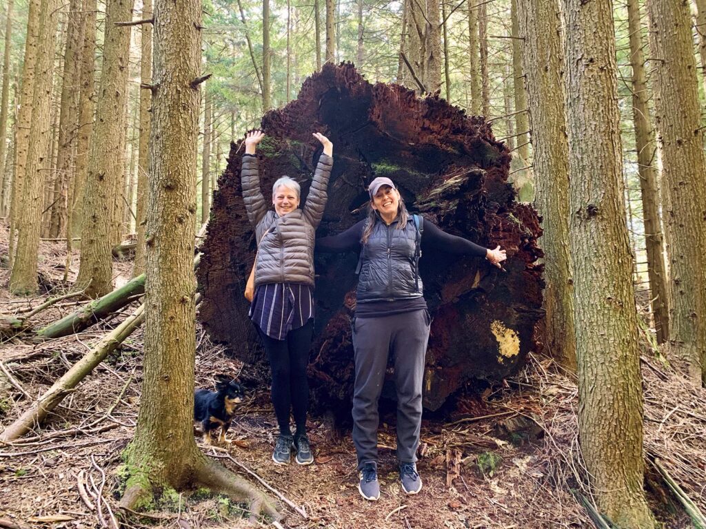 Two hikers stand in front of a giant tree trunk on Bowen Island. 