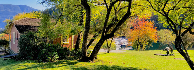 orchard banner small 768x278